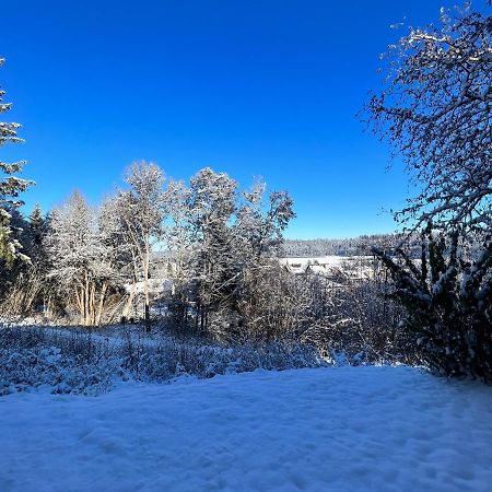 Moderne Wohnung Im Gruenen Mit Privatem Garten Donaueschingen Exteriér fotografie