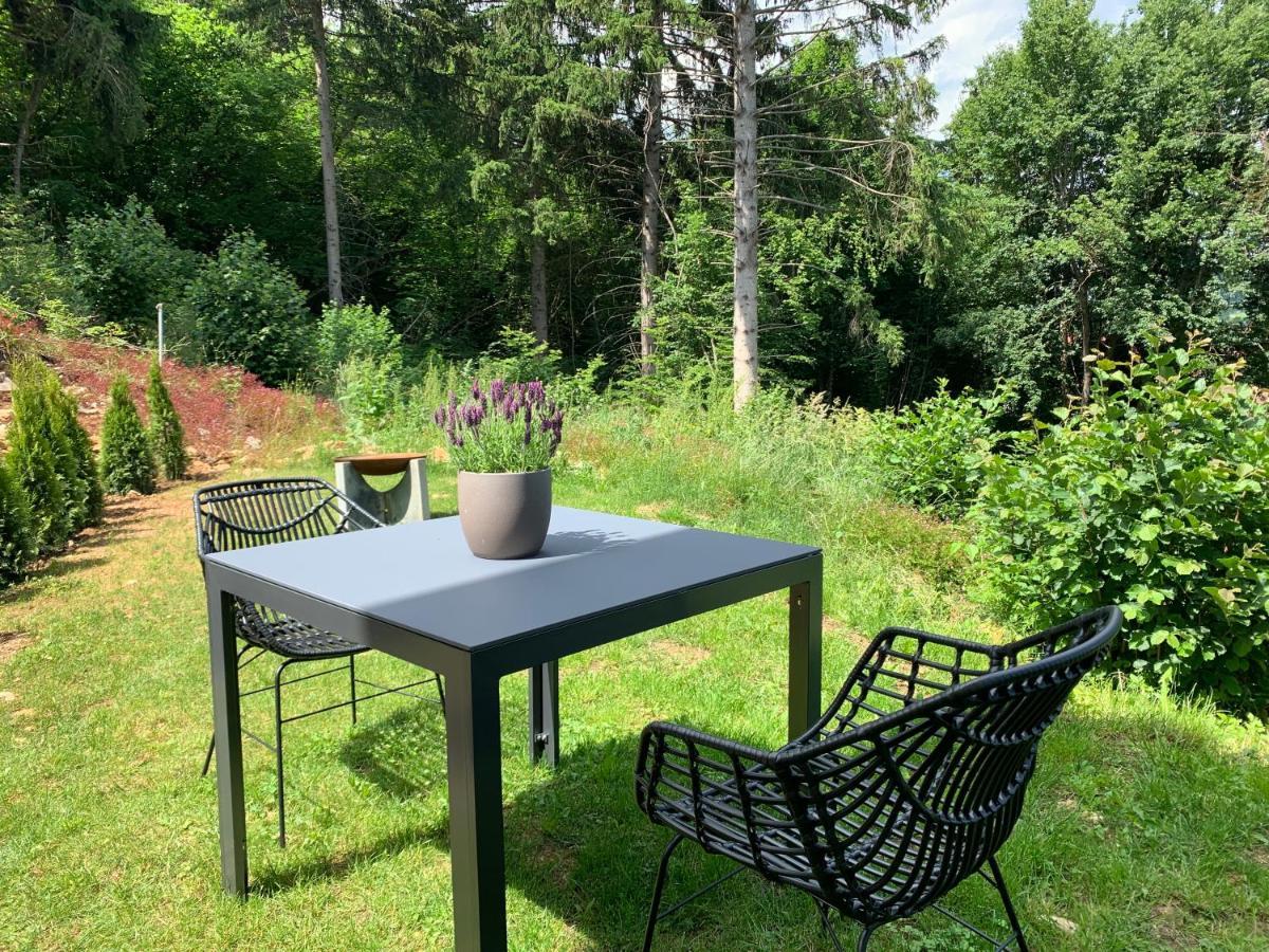 Moderne Wohnung Im Gruenen Mit Privatem Garten Donaueschingen Exteriér fotografie