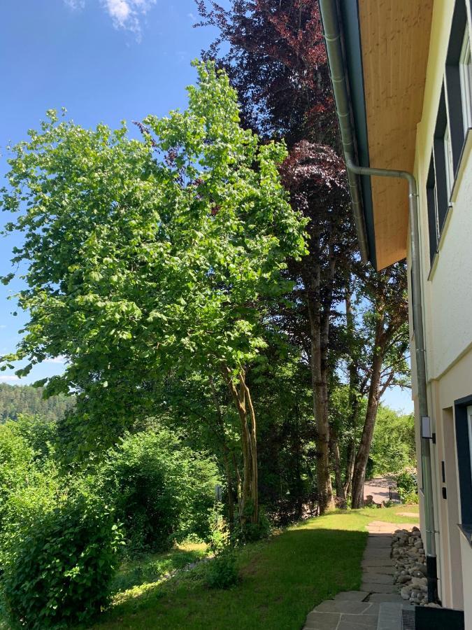 Moderne Wohnung Im Gruenen Mit Privatem Garten Donaueschingen Exteriér fotografie