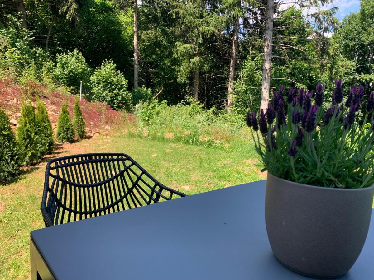 Moderne Wohnung Im Gruenen Mit Privatem Garten Donaueschingen Exteriér fotografie